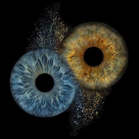 Blue and gold iris artwork on black background